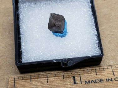 Rare Scheelite Thumbnail Specimen