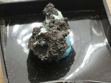 Rare Serpierite Thumbnail Specimen