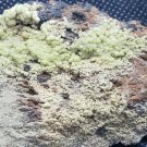 Amazing Pyromorphite specimen