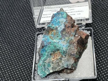 Beautiful Tyrrellite Umangite Chalcomenite thumbnail specimen