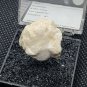 Beautiful Alunogen thumbnail specimen