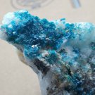 Rare Cabinet Caledonite specimen