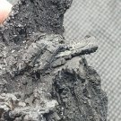 Beautiful 19C Bornite Chalcocite Pseudo specimen