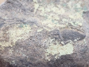 Rare Uranophane specimen