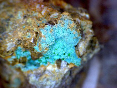 Rare Zalesiite Thumbnail Specimen