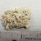 Stunning Nevada Wulfenite Specimen