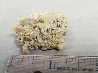 Stunning Nevada Wulfenite Specimen