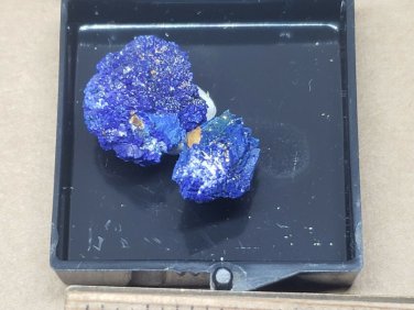 Stunning Azurite Thumbnail Specimen