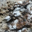 Stunning Hydrozincite with Cerussite Specimen