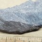 Stunning Namansilite specimen