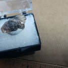 Double terminated topaz thumbnail specimen