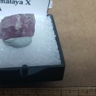 Beautiful Pink Apatite thumbnail specimen