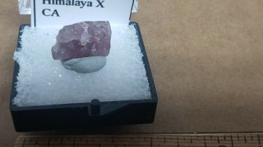Beautiful Pink Apatite thumbnail specimen