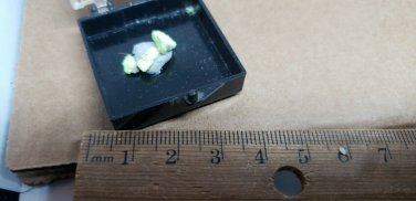 Beautiful Schrokingerite thumbnail specimen