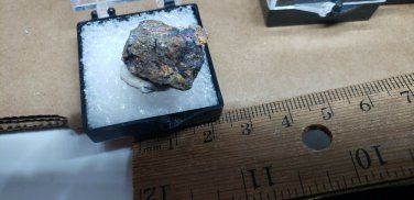 Beautiful Paulkerrite thumbnail specimen