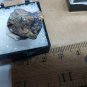 Beautiful Paulkerrite thumbnail specimen
