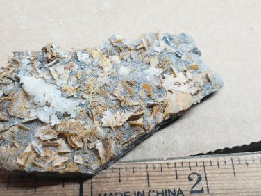 Stunning Finch Wulfenite Specimen