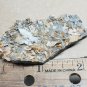 Stunning Finch Wulfenite Specimen