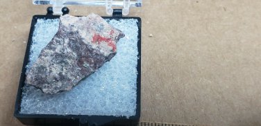 Rare Cuprite Var Chalcotrichite Thumbnail Specimen