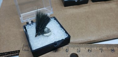 Beautiful Millerite thumbnail specimen