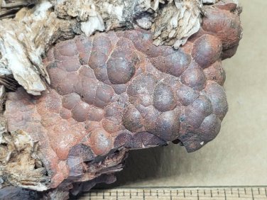 Stunning Hematite var Kidney Ore specimen