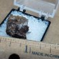 Beautiful Kenhsuite Thumbnail specimen