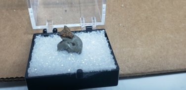 Beautiful Hilairionite thumbnail specimen