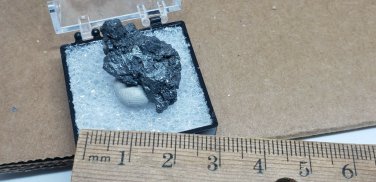 Rare Acanthite Thumbnail Specimen