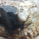 Stunning Riebeckite specimen