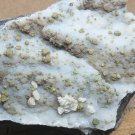 Beautiful Botroidal Mottramite specimen
