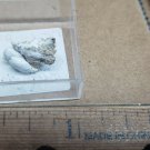 Stunning Macdonaldite thumbnail specimen