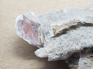 Rare Copper in Selenite Specimen