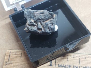 Beautiful Ecdemite Thumbnail specimen