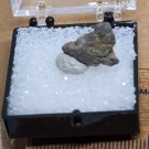 Native Benitoite Thumbnail Specimen