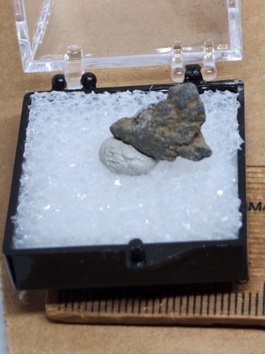 Native Benitoite Thumbnail Specimen