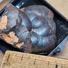 Beautiful Hematite thumbnail specimen