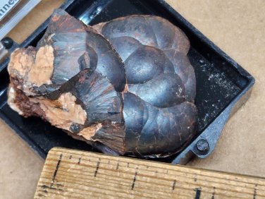 Beautiful Hematite thumbnail specimen