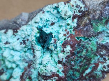 Beautiful Dioptase on Chrysocolla specimen