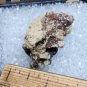 Beautiful Catapleiite thumbnail specimen