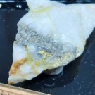 Beautiful Cannonite Thumbnail specimen
