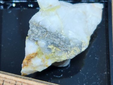Beautiful Cannonite Thumbnail specimen