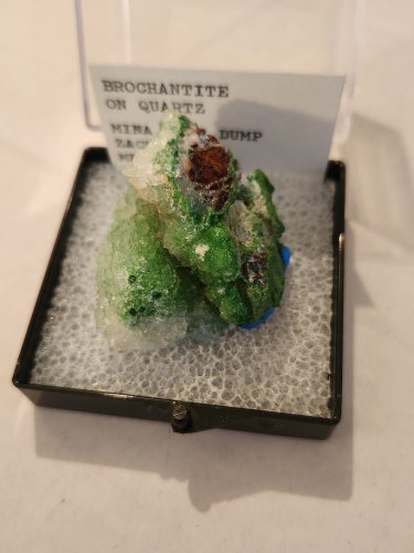 Beautiful Green Brochantite on quartz specimen
