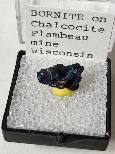 Beautiful Bornite on Chalcocite thumbnail specimen