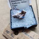 Beautiful Diaboleite specimen