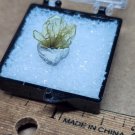 Beautiful twin Chrysoberyl specimen