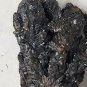 Beautiful Descloizite Specimen Namibia