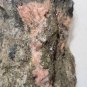 Stunning Hureaulite with Rockbridgeite and Jahnsite Tip Top mine