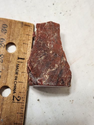 Stunning Polished Red Yellowcat Petrified wood specimen