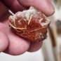 Stunning Polished Red Yellowcat Petrified wood specimen