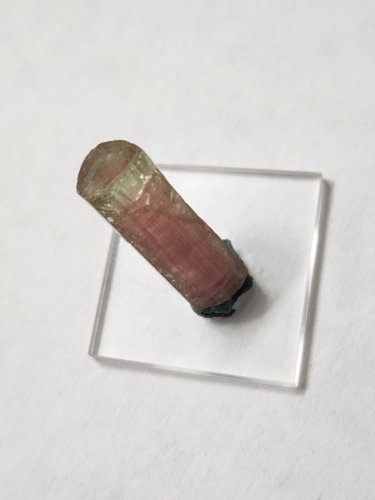 Watermelon Tourmaline Crystal